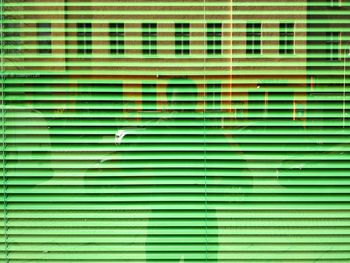 Man seen through green blinds