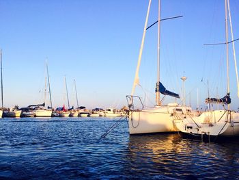 Boats in harbor