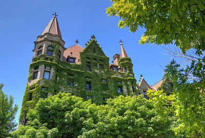 Low angle view of trees and building against sky