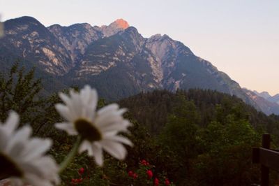 Scenic view of mountains