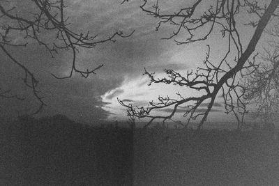 Silhouette bare tree against sky