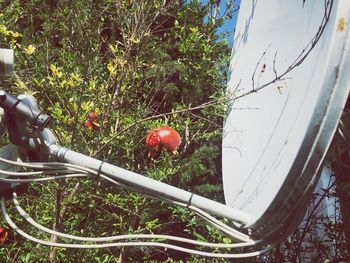 High angle view of red bicycle on field