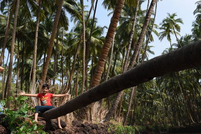 Man sitting by tree in forest
