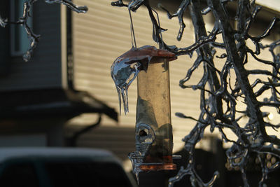 Close-up of frozen bird feeder against building