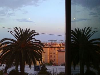 Silhouette palm trees by swimming pool against buildings in city