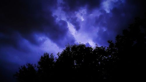 Low angle view of silhouette trees against sky at night