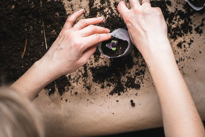 Directly above shot of hands holding ice cream