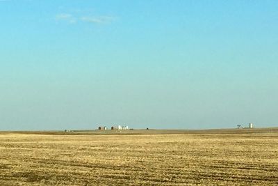 Scenic view of agricultural field against clear sky