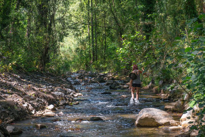 Rear view of man walking in forest