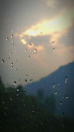 Close-up of flock of lake against sky