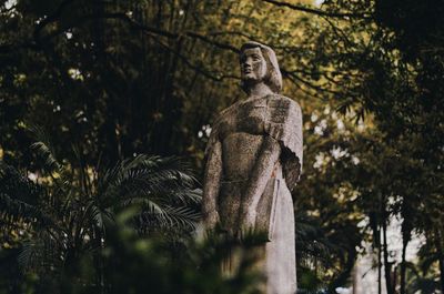 Low angle view of statue against trees