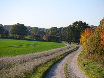 Dirt road amidst field against clear sky