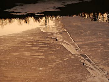 View of birds on beach during winter