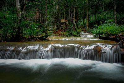 Scenic view of waterfall in forest