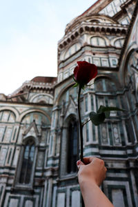 Hand holding red flower against built structure