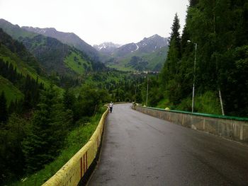 Country road passing through forest