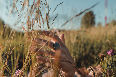 Midsection of person holding plants on field