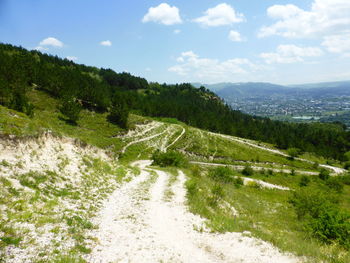 High angle view of trees on landscape against sky