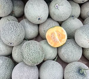 Full frame shot of fruits for sale in market