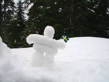Close-up of snow on tree