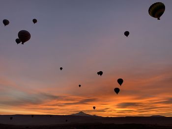 Low angle view of hot air balloons against sky during sunset