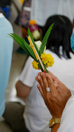 Close-up of hand holding flower at home