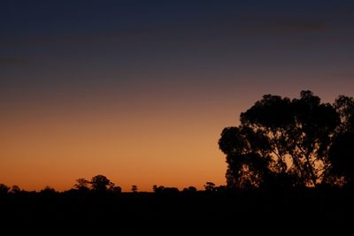 Silhouette of trees at sunset