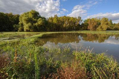 Scenic view of lake by trees against sky