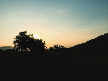 Silhouette trees on field against sky during sunset