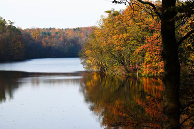 Scenic view of lake by trees during autumn