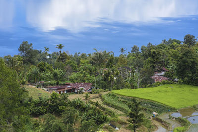 Scenic view of trees and houses against sky