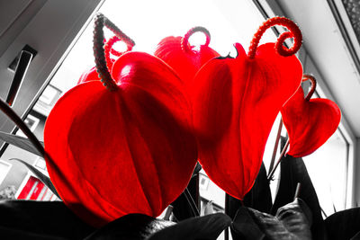 Low angle view of red balloons