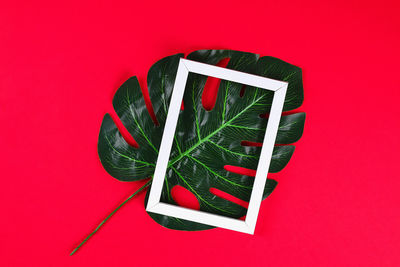 High angle view of bread on red background