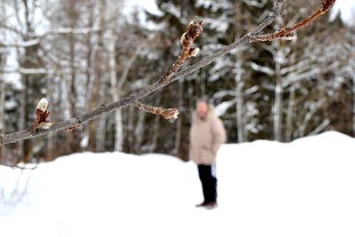 Person on snow covered tree during winter