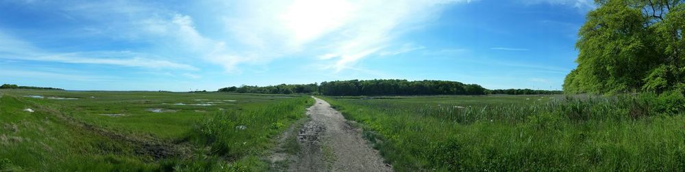 Dirt road passing through grassy field
