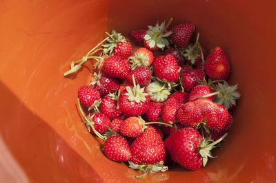 High angle view of strawberries