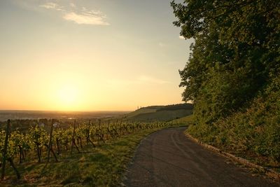 Road amidst field against sky during sunset