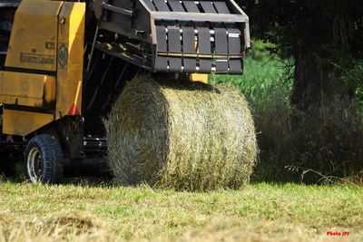 Hay bales on field