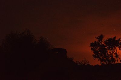 Silhouette trees against sky at night