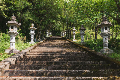 Walkway amidst trees and building