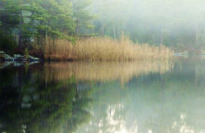 Scenic view of calm lake