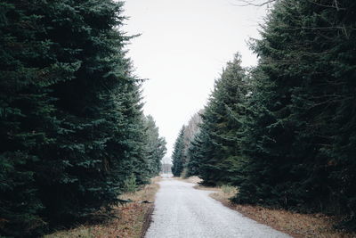 Empty road amidst trees in forest against clear sky