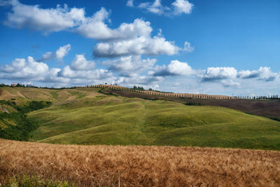 Scenic view of agricultural field against sky