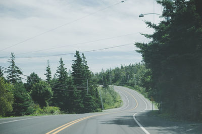 Empty road amidst trees against sky