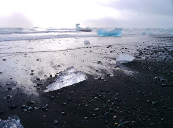 Close-up of beach against sky