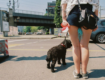 Low section of man with dog walking on road