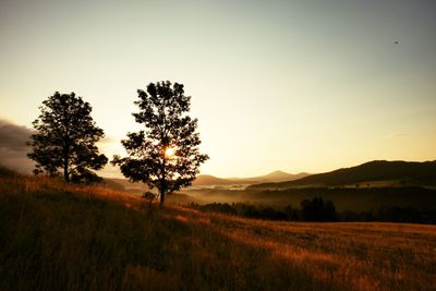 Silhouette trees on field against sky during sunset