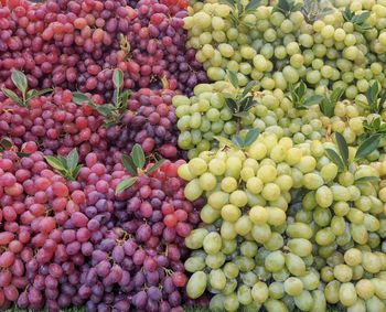 High angle view of grapes for sale in market