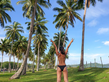 Low angle view of young woman standing on palm tree