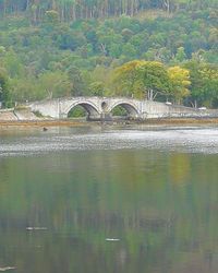 Bridge over river against trees